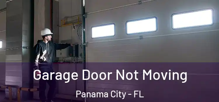  Garage Door Not Moving Panama City - FL
