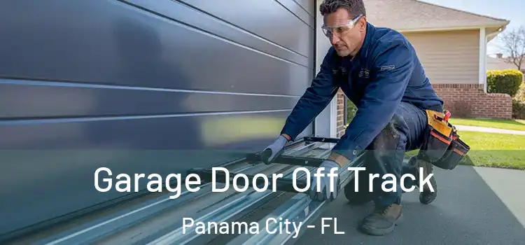  Garage Door Off Track Panama City - FL