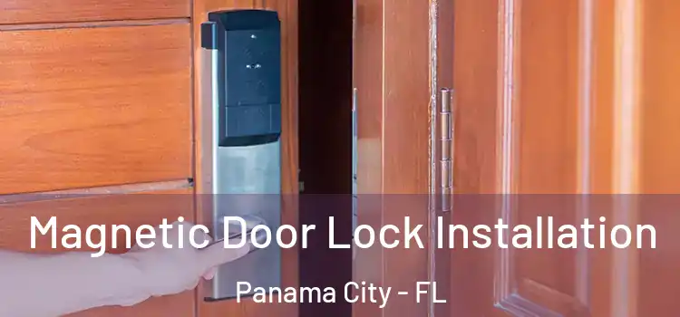  Magnetic Door Lock Installation Panama City - FL