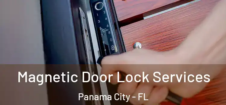 Magnetic Door Lock Services Panama City - FL